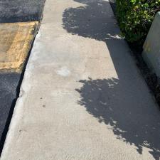 Sidewalk and Patio Cleaning 7