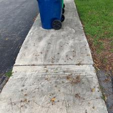 Sidewalk and Patio Cleaning 1
